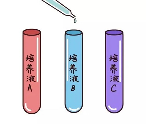 赴泰做试管生孩子到底有什么优势？