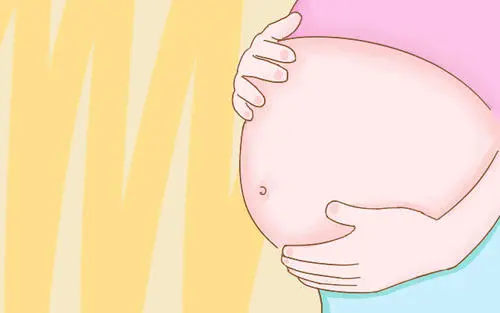 2022美国试管婴儿