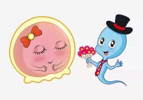 试管婴儿取卵后出现腹水怎么办？