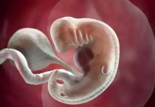 输卵管切除两边还可以怀孕吗？能做试管婴儿吗？