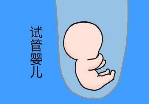 去美国做试管婴儿 取卵数量有没有限制？