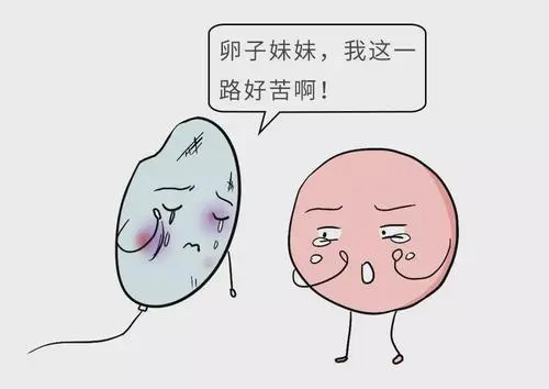 试管婴儿移植后可以投入工作吗？