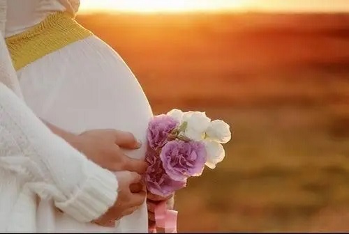 2022年美国试管婴儿收费情况
