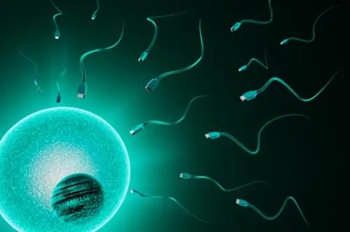 二代试管能选出最好的精子吗？和其他几代有什么区别？