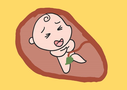 卵泡发育不良去美国做试管婴儿能提高成功率吗？
