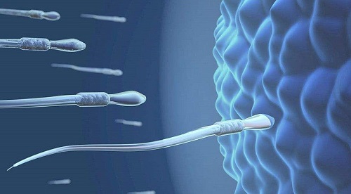 试管移植两个最好的胚胎，宝宝越健康？