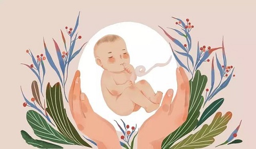 输卵管切除了可以做试管婴儿吗？