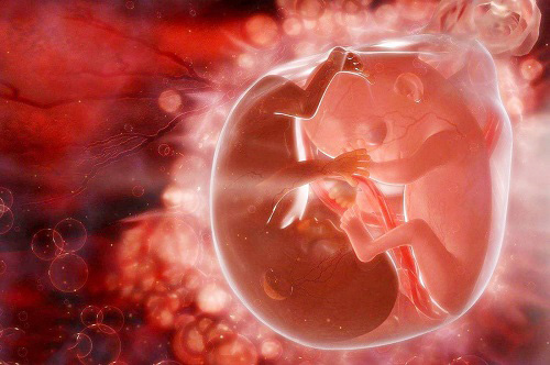美国第二代试管婴儿技术在操作过程中会损伤卵子质量吗？