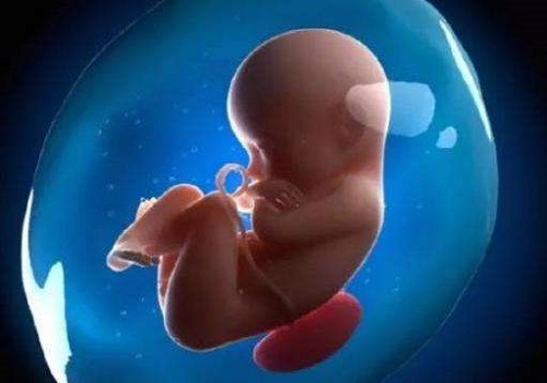 美国试管婴儿专家分析：导致囊胚碎片率高的原因