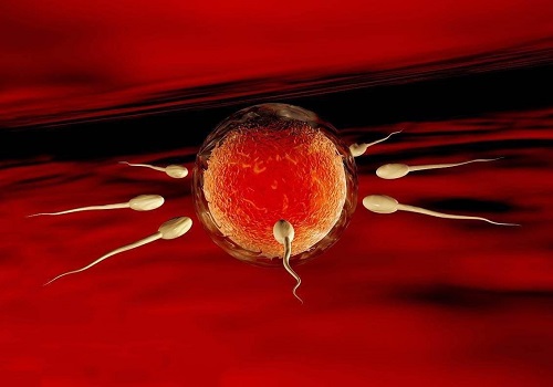 输卵管堵塞做三代试管一次成功率高吗？