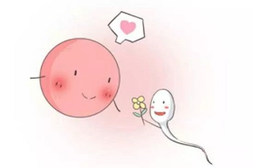 试管婴儿聪明吗？是自己亲生的吗？