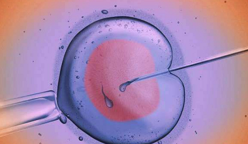 输卵管堵塞积水能做试管婴儿助孕成功吗？