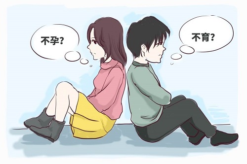 4点分析，深入浅出解读美国试管婴儿注意事项
