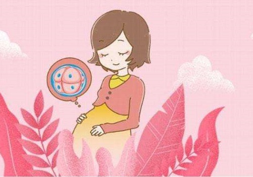 试管婴儿胚胎移植后补充黄体的作用是什么？