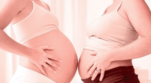 美国试管专家：如何才能让受精卵更好地发育成囊胚？