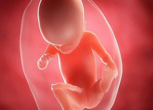 泰国试管婴儿促排卵期间的注意事项你不了解一下？